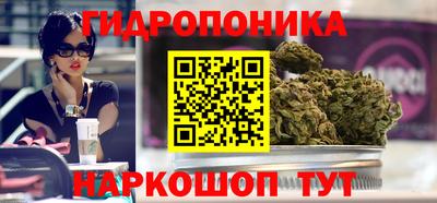 mdpv Бийск