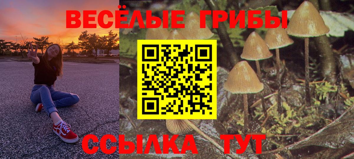 Псилоцибиновые грибы GOLDEN TEACHER  Галлюциногенные грибы MAGIC MUSHROOMS  Вход с VPN  Калач-на-Дону 