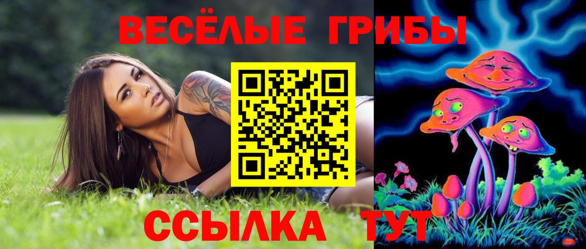 Галлюциногенные грибы мухоморы Калач-на-Дону